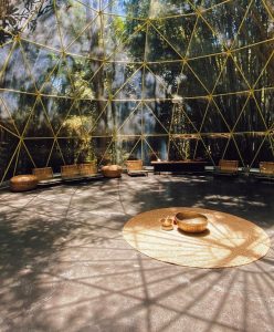 Soma Wellness Retreat